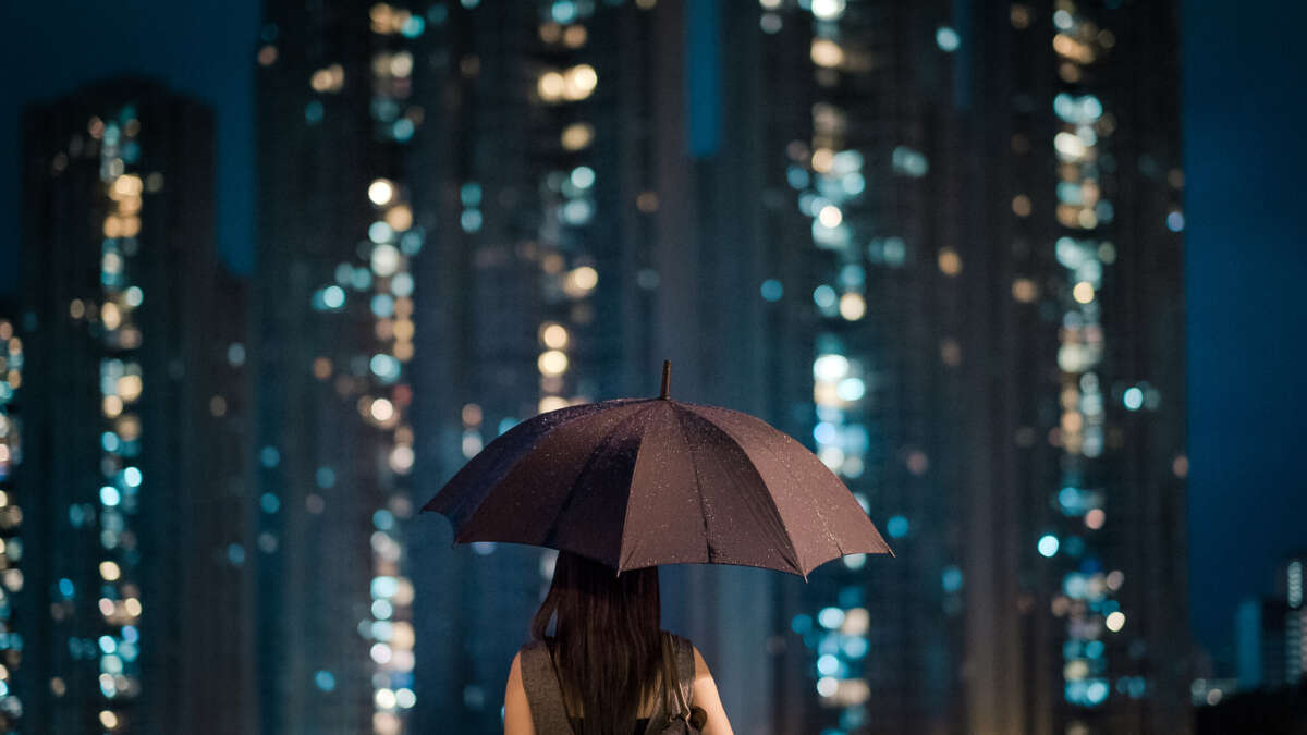 Rear view of young businesswoman with umbrella overlooking illuminated cityscape on a rainy night.